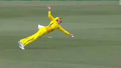 Glenn Maxwell catch, martin guptill, aus vs nz- India TV Hindi