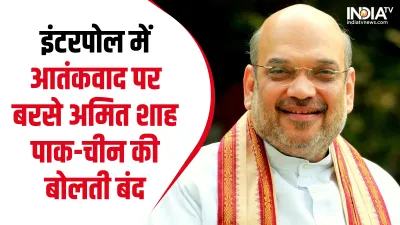 Amit Shah - India TV Hindi