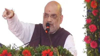 Union Home Minister Amit Shah - India TV Hindi