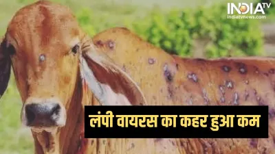 Lampi Virus- India TV Hindi