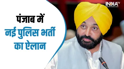 Punjab CM Bhagwant Mann- India TV Hindi