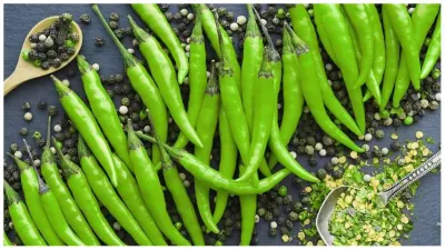 green_chilli_benefits- India TV Hindi