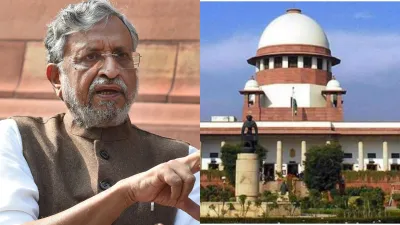 Sushil Modi, Sushil Modi High Court, Sushil Modi Court Holidays, Sushil Modi Supreme Court- India TV Hindi