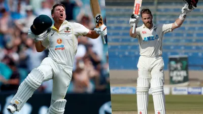 David Warner and Kane Williamson- India TV Hindi