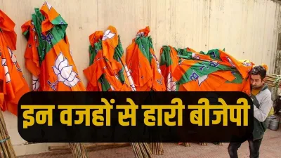 Why BJP lost Delhi MCD elections- India TV Hindi