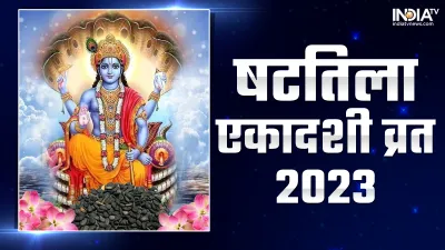 Shattila Ekadashi 2023- India TV Hindi