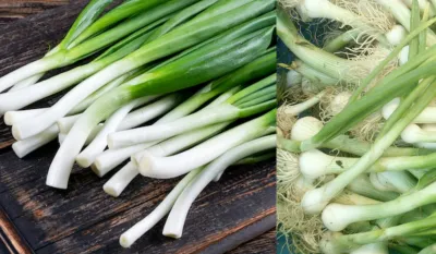 Spring Onion Benefits - India TV Hindi