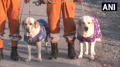 ndrf dog- India TV Hindi