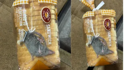 A live rat came out from inside the packet of bread.- India TV Hindi