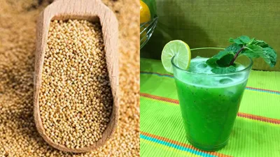 khus khus juice benefits - India TV Hindi