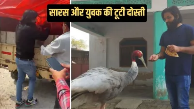 strok viral video- India TV Hindi