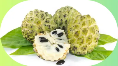  Custard_apple- India TV Hindi