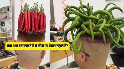 Can you tell which hairstyle is this?- India TV Hindi