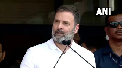 Rahul Gandhi - India TV Hindi