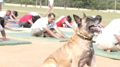 International Yoga Day - India TV Hindi