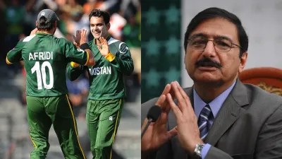 Mohammad Hafeez, Zaka Ashraf, PCB- India TV Hindi