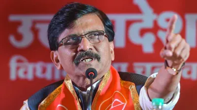 Sanjay Raut, Sanjay Raut BJP, Sanjay Raut NDA, Sanjay Raut INDIA- India TV Hindi