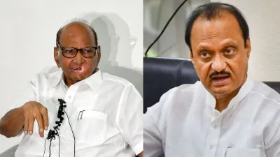 Sharad Pawar Ajit Pawar- India TV Hindi