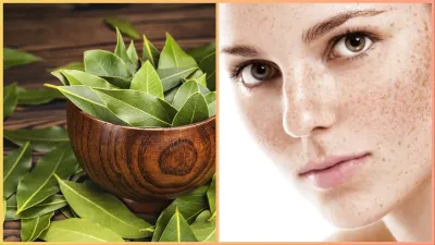 Bay leaf benefits for skin- India TV Hindi