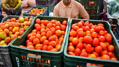 tomato- India TV Hindi