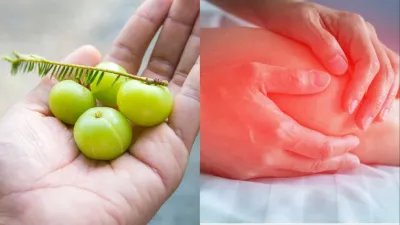 Amla benefits for uric acid- India TV Hindi