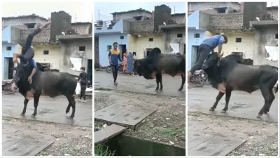 Man Fight With Bull Saand Se Bhid Gaya Aadmi sharab k nashe me saand se ladai google trending viral - India TV Hindi