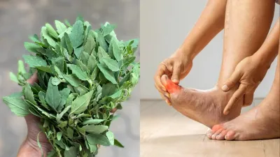 bathua saag health benefits - India TV Hindi