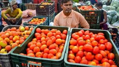 Tomato prices- India TV Hindi