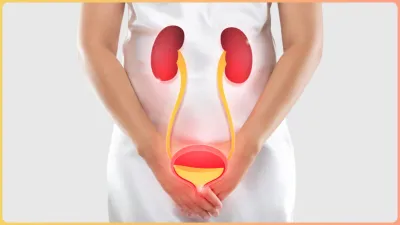  uti bladder infection- India TV Hindi