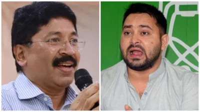 DMK MP Dayanidhi Maran had given a controversial statement on North Indians now Tejashwi Yadav said - India TV Hindi