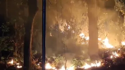 नहीं बुझ रही नैनीताल की आग, लगातार दूसरे दिन भारतीय सेना ने की मदद, सीएम पुष्कर ने की यह अपील - India TV Hindi Nanital Forest Fire - India TV Hindi