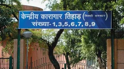 दिल्ली: तिहाड़ जेल में 125 कैदी HIV पॉजिटव, 200 कैदियों को सिफलिस की बीमारी, मचा हड़कंप - India TV Hindi