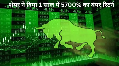 MultiBagger Stock- India TV Paisa