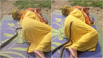 Snake video woman sleeping then a snake arrived then what happened will give you goosebumps- India TV Hindi