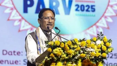 छत्तीसगढ़ 'अंजोर विजन 2047' तैयार, विकसित राज्य के लिए CM साय ने पेश किया रोडमैप - India TV Hindi