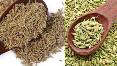 जीरा और सौंफ को पीसकर खाने से पाचन तंत्र मजबूत बनता है। इसेस पेट में होने वाली गैस, एसिडिटी और कब्ज की बीमारी को ठीक किया जा सकता है। जिन लोगों को एसिडिटी होती है उन्हें इस पाउडर का इस्तेमाल जरूर करना चाहिए। जीरा और सौंफ को पीसकर खाने से पाचन तंत्र मजबूत बनता है। इसेस पेट में होने वाली गैस, एसिडिटी और कब्ज की बीमारी को ठीक किया जा सकता है। जिन लोगों को एसिडिटी होती है उन्हें इस पाउडर का इस्तेमाल जरूर करना चाहिए।
