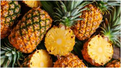 अनानास में पाए जाने वाले तमाम पोषक तत्व आपकी सेहत पर ढेर सारे पॉजिटिव असर डाल सकते हैं। आइए पाइनएप्पल को अपने डेली डाइट प्लान में सही मात्रा में और सही तरीके से शामिल करने के कुछ कमाल के हेल्थ बेनिफिट्स के बारे में जानकारी हासिल करते हैं। अनानास में पाए जाने वाले तमाम पोषक तत्व आपकी सेहत पर ढेर सारे पॉजिटिव असर डाल सकते हैं। आइए पाइनएप्पल को अपने डेली डाइट प्लान में सही मात्रा में और सही तरीके से शामिल करने के कुछ कमाल के हेल्थ बेनिफिट्स के बारे में जानकारी हासिल करते हैं।