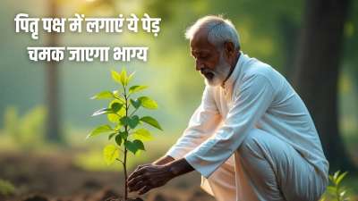 इस बार श्राद्ध के दौरान कृतिका, रोहिणी, मृगशिरा, आर्द्रा, पुनर्वसु, पुष्य, मघा और पूर्वाफाल्गुनी नक्षत्र पड़ रहे हैं, लिहाजा आप इन नक्षत्रों के दौरान कुछ खास पेड़-पौधे को रोपित कर सकते हैं। इससे आपके जीवन में सुख-समृद्धि बढ़ जाएगी। इस बार श्राद्ध के दौरान कृतिका, रोहिणी, मृगशिरा, आर्द्रा, पुनर्वसु, पुष्य, मघा और पूर्वाफाल्गुनी नक्षत्र पड़ रहे हैं, लिहाजा आप इन नक्षत्रों के दौरान कुछ खास पेड़-पौधे को रोपित कर सकते हैं। इससे आपके जीवन में सुख-समृद्धि बढ़ जाएगी।