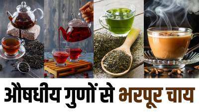 क्या आपको भी चाय पीने का शौक है? अगर हां, तो आपको अलग-अलग तरह की चाय का सेवन करने के हेल्थ बेनिफिट्स के बारे में जान लेना चाहिए। आइए काली चाय, गुड़हल की चाय, ग्रीन टी और दूध वाली चाय पीने के फायदों के बारे में जानकारी हासिल करते हैं। क्या आपको भी चाय पीने का शौक है? अगर हां, तो आपको अलग-अलग तरह की चाय का सेवन करने के हेल्थ बेनिफिट्स के बारे में जान लेना चाहिए। आइए काली चाय, गुड़हल की चाय, ग्रीन टी और दूध वाली चाय पीने के फायदों के बारे में जानकारी हासिल करते हैं।