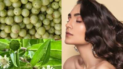 बालों का झड़ना आज सबसे आम समस्याओं में से एक बन गया है। शरीर में विटामिन की कमी, हार्श केमिकल ट्रीटमेंट्स के साथ एयर पॉल्यूशन के वजह से बाल तेजी से झड़ने लगते हैं। लेकिन अगर आप अपने हेयर केयर रूटीन में इन आयुर्वेदिक जड़ी बूटी को शामिल करते हैं तो हेयर से जुड़ी कई परेशानियां कंट्रोल हो सकती हैं। चलिए जानते हैं वे हर्ब्स कौन से हैं?
बालों का झड़ना आज सबसे आम समस्याओं में से एक बन गया है। शरीर में विटामिन की कमी, हार्श केमिकल ट्रीटमेंट्स के साथ एयर पॉल्यूशन के वजह से बाल तेजी से झड़ने लगते हैं। लेकिन अगर आप अपने हेयर केयर रूटीन में इन आयुर्वेदिक जड़ी बूटी को शामिल करते हैं तो हेयर से जुड़ी कई परेशानियां कंट्रोल हो सकती हैं। चलिए जानते हैं वे हर्ब्स कौन से हैं?