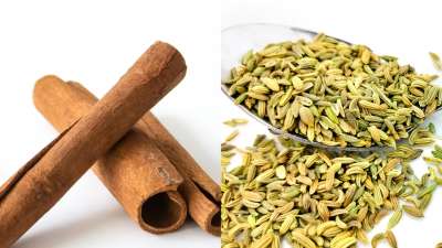 दालचीनी और सौंफ, इन दोनों मसालों का इस्तेमाल खाना बनानेके लावा सदियों से औषधीय गुणों के लिए किया जाता रहा है। अगर आप इन दोनों मसलों का ड्रिंक सुबह के समय पीते हैं तो इससे अपनी सेहत को कई फायदे मिलेंगे। रात भर पानी में भिगोई गई दालचीनी और सौंफ का एक मिश्रण एक ताज़ा और शक्तिशाली संयोजन प्रदान करता है जो शरीर को कई तरह से लाभ पहुँचाता है। चलिए जानते हैं इसके फायदे?
दालचीनी और सौंफ, इन दोनों मसालों का इस्तेमाल खाना बनानेके लावा सदियों से औषधीय गुणों के लिए किया जाता रहा है। अगर आप इन दोनों मसलों का ड्रिंक सुबह के समय पीते हैं तो इससे अपनी सेहत को कई फायदे मिलेंगे। रात भर पानी में भिगोई गई दालचीनी और सौंफ का एक मिश्रण एक ताज़ा और शक्तिशाली संयोजन प्रदान करता है जो शरीर को कई तरह से लाभ पहुँचाता है। चलिए जानते हैं इसके फायदे?