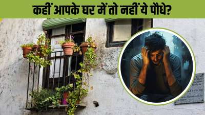 वास्तु शास्त्र में कुछ ऐसे पेड़-पौधों के बारे में बताया गया है जिन्हें घर के पास, बालकनी में या फिर छत पर भूलकर भी नहीं लगाना चाहिए। कहते हैं ये पौधे बुरा समय लेकर आते हैं इसलिए इन्हें लगाने से बचना चाहिए। चलिए जानते हैं ये कौन से पौधे हैं। वास्तु शास्त्र में कुछ ऐसे पेड़-पौधों के बारे में बताया गया है जिन्हें घर के पास, बालकनी में या फिर छत पर भूलकर भी नहीं लगाना चाहिए। कहते हैं ये पौधे बुरा समय लेकर आते हैं इसलिए इन्हें लगाने से बचना चाहिए। चलिए जानते हैं ये कौन से पौधे हैं।