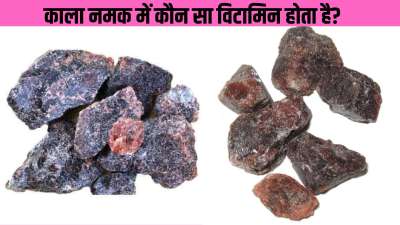काला नमक में मुख्य रूप से विटामिन के बजाय कई खनिज तत्व होते हैं, जैसे कि सोडियम, पोटेशियम, कैल्शियम और मैग्नीशियम। इसका सेवन सेहत के लिए बेहद फायदेमंद माना जाता है।
काला नमक में मुख्य रूप से विटामिन के बजाय कई खनिज तत्व होते हैं, जैसे कि सोडियम, पोटेशियम, कैल्शियम और मैग्नीशियम। इसका सेवन सेहत के लिए बेहद फायदेमंद माना जाता है।