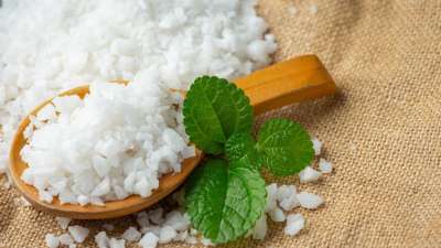 सेंधा नमक में मुख्य रूप से सोडियम क्लोराइड (NaCl) होता है। सेंधा नमक में मुख्य रूप से सोडियम क्लोराइड (NaCl) होता है।