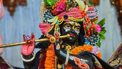 हिंदू पंचांग के अनुसार अगहन मास यानी मार्गशीर्ष का महीना अत्यंत शुभ माना गया है। इस महीने भगवान श्रीकृष्ण ने गीता का उपदेश दिया था और भगवान विष्णु व माता लक्ष्मी की पूजा विशेष फलदायी होती है। वास्तु और धर्मशास्त्रों के अनुसार अगर इस महीने कुछ खास पौधे लगाए जाएं और उनकी विधिवत पूजा की जाए, तो घर में सुख-शांति, समृद्धि और लक्ष्मी की कृपा स्थायी रूप से बनी रहती है।
हिंदू पंचांग के अनुसार अगहन मास यानी मार्गशीर्ष का महीना अत्यंत शुभ माना गया है। इस महीने भगवान श्रीकृष्ण ने गीता का उपदेश दिया था और भगवान विष्णु व माता लक्ष्मी की पूजा विशेष फलदायी होती है। वास्तु और धर्मशास्त्रों के अनुसार अगर इस महीने कुछ खास पौधे लगाए जाएं और उनकी विधिवत पूजा की जाए, तो घर में सुख-शांति, समृद्धि और लक्ष्मी की कृपा स्थायी रूप से बनी रहती है।