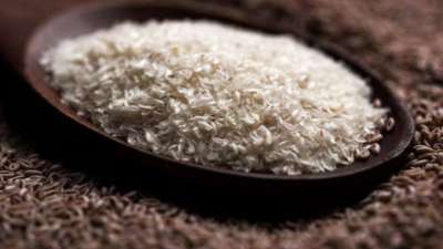 इसबगोल एक बेहतरीन Bulk-forming Laxative है। जब आप इसे खाली पेट लेते हैं, तो यह आंतों में जाकर मल को नरम बनाता है और उसे बाहर निकालने में मदद करता है। पुरानी से पुरानी कब्ज से छुटकारा दिलाने में भी ये बेहद फायदेमंद माना जाता है।
इसबगोल एक बेहतरीन Bulk-forming Laxative है। जब आप इसे खाली पेट लेते हैं, तो यह आंतों में जाकर मल को नरम बनाता है और उसे बाहर निकालने में मदद करता है। पुरानी से पुरानी कब्ज से छुटकारा दिलाने में भी ये बेहद फायदेमंद माना जाता है।