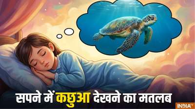 सपने में कछुआ देखना बेहद शुभ संकेतक है। कछुए को हिंदू धर्म में भगवान विष्णु से संबंधित माना जाता है साथ ही ये सुख-समृद्धि का प्रतीक भी होता है। वास्तु शास्त्र में भी कछुए को जीवन में खुशहाली लाने वाला माना जाता है। वहीं स्वप्न शास्त्र में कुछ विशेष स्थितियों में सपने में कछुए का दिखना बेहद शुभ होता है। ये सपने माता लक्ष्मी की कृपा और धन लाभ के प्रतीक भी माने गए हैं। आइए जान लेते हैं इन सपनों के बारे में। सपने में कछुआ देखना बेहद शुभ संकेतक है। कछुए को हिंदू धर्म में भगवान विष्णु से संबंधित माना जाता है साथ ही ये सुख-समृद्धि का प्रतीक भी होता है। वास्तु शास्त्र में भी कछुए को जीवन में खुशहाली लाने वाला माना जाता है। वहीं स्वप्न शास्त्र में कुछ विशेष स्थितियों में सपने में कछुए का दिखना बेहद शुभ होता है। ये सपने माता लक्ष्मी की कृपा और धन लाभ के प्रतीक भी माने गए हैं। आइए जान लेते हैं इन सपनों के बारे में।