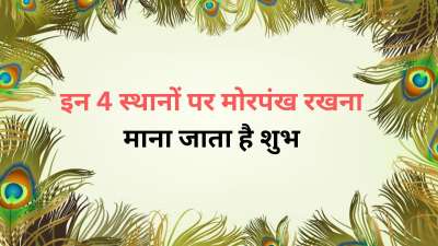मोरपंख को हिंदू मान्यताओं में और वास्तु शास्त्र में बेहद शुभ माना जाता है। मोरपंख का संबंध भगवान कृष्ण से भी माना गया है क्योंकि वो मोरपंख धारण करते थे। वहीं अगर आप भी कुछ विशेष स्थानों पर मोरपंख रखते हैं तो आपको जीवन में शुभ परिणाम मिल सकते हैं और राहु के बुरे प्रभावों से आप मुक्ति पा सकते हैं। मोरपंख को हिंदू मान्यताओं में और वास्तु शास्त्र में बेहद शुभ माना जाता है। मोरपंख का संबंध भगवान कृष्ण से भी माना गया है क्योंकि वो मोरपंख धारण करते थे। वहीं अगर आप भी कुछ विशेष स्थानों पर मोरपंख रखते हैं तो आपको जीवन में शुभ परिणाम मिल सकते हैं और राहु के बुरे प्रभावों से आप मुक्ति पा सकते हैं।