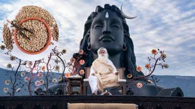 सद्गुरु सोशल मीडिया पर लोगों को मोटिवेट करने के साथ साथ फिटनेस टिप्स भी देते रहते हैं। उन्होंने कुछ समय पहले एक ऐसी दाल के बारे में बताया था जो सेहत के लिए बेहद फायदेमंद है। ये दाल है कुलथी की दाल। इसका सेवन करने से सेहत को कई तरह के फायदे मिलते हैं। सद्गुरु सोशल मीडिया पर लोगों को मोटिवेट करने के साथ साथ फिटनेस टिप्स भी देते रहते हैं। उन्होंने कुछ समय पहले एक ऐसी दाल के बारे में बताया था जो सेहत के लिए बेहद फायदेमंद है। ये दाल है कुलथी की दाल। इसका सेवन करने से सेहत को कई तरह के फायदे मिलते हैं।