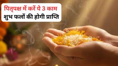 पितृपक्ष के दौरान श्राद्ध-तर्पण के साथ ही वास्तु के कुछ उपाय भी आपके लिए कारगर साबित हो सकते हैं। इन उपायों को पितृपक्ष में प्रतिदिन करने से आपको पितृदोष से मुक्ति मिल सकती है और जीवन में सकारात्मक बदलाव भी आ सकते हैं। ये उपाय पितरों की आत्मा को तृप्त करने वाले भी माने जाते हैं। आइए जान लेते हैं इन उपायों के बारे में। पितृपक्ष के दौरान श्राद्ध-तर्पण के साथ ही वास्तु के कुछ उपाय भी आपके लिए कारगर साबित हो सकते हैं। इन उपायों को पितृपक्ष में प्रतिदिन करने से आपको पितृदोष से मुक्ति मिल सकती है और जीवन में सकारात्मक बदलाव भी आ सकते हैं। ये उपाय पितरों की आत्मा को तृप्त करने वाले भी माने जाते हैं। आइए जान लेते हैं इन उपायों के बारे में।